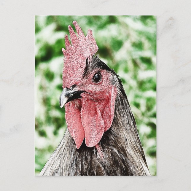 Blue Rooster Digital Art Postcard (Front)