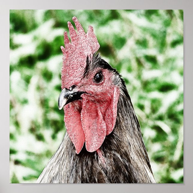 Blue Rooster Digital Art Poster (Front)
