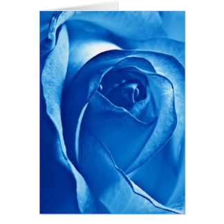 Blue Rose