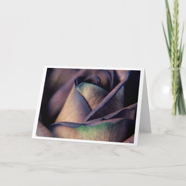 Blue Rose Close up Card (Front)