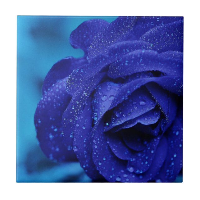Blue rose flower tile (Front)