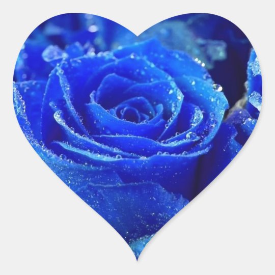 Royal Blue Roses Heart