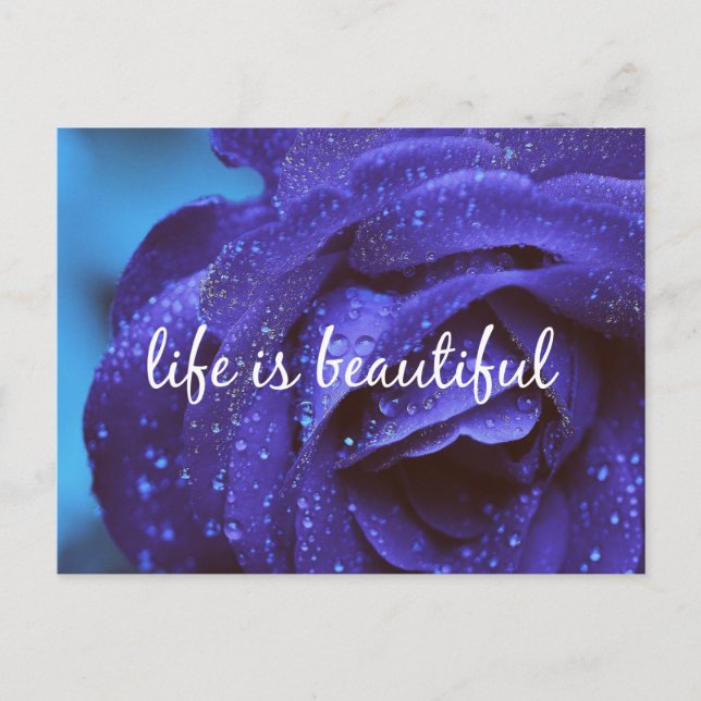Blue Rose Life is Beautiful Quote Postcard (Front)