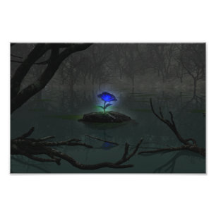Blue Rose Photo Print