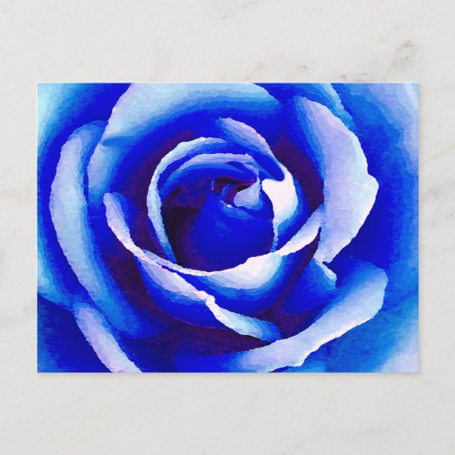 Blue Rose_ Postcard (Front)