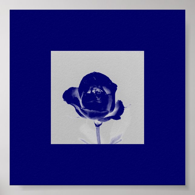 Blue Rose Poster (Front)