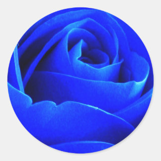 Blue Rose Sticker