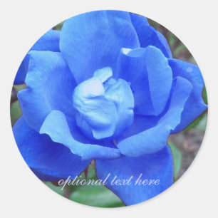 Blue Rose stickers