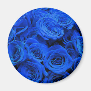 Blue Roses Magnet