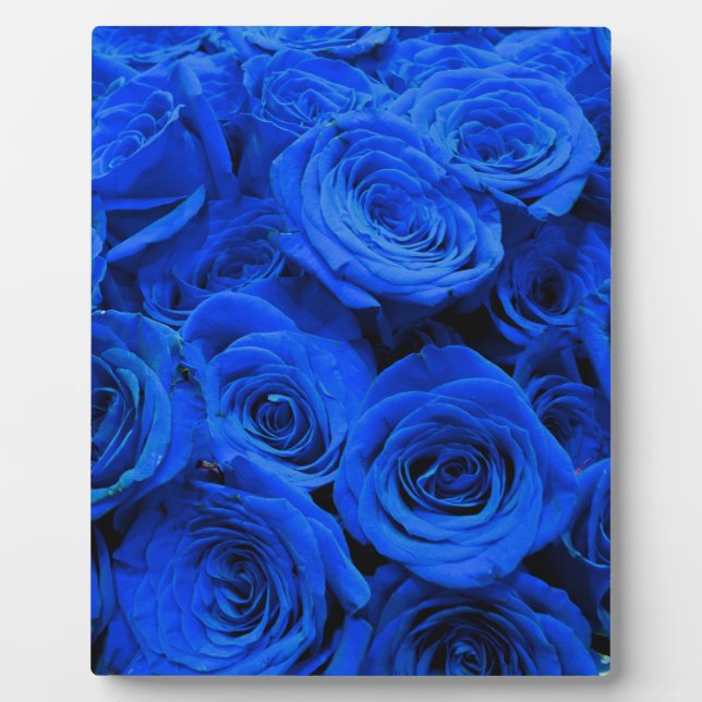 Blue Roses Plaque (Front)