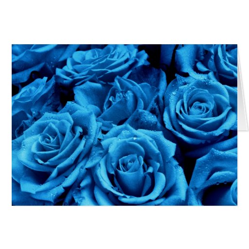 Blue Roses Valentine's Day card | Zazzle