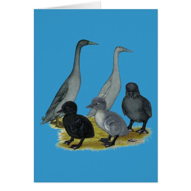 Blue Runner Duck Family (Front)