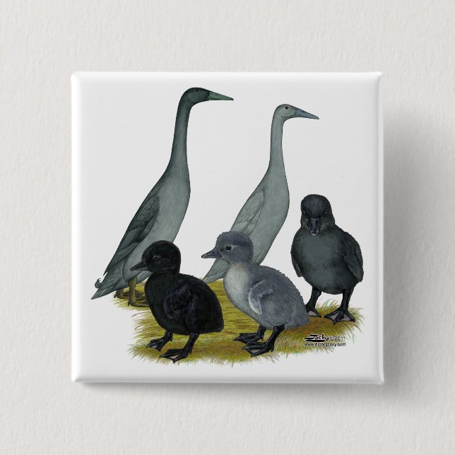 Blue Runner Duck Family 2 Inch Square Button (Front)