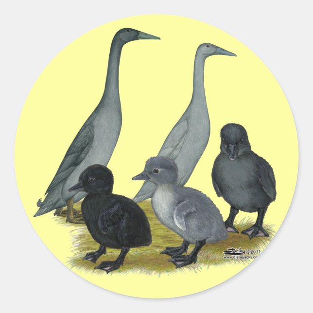 Blue Runner Duck Family Classic Round Sticker (Front)