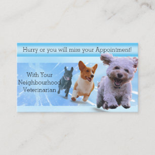 Blue Rush Veterinarian Appointment Card