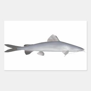 Blue Salmon Catfish Sticker