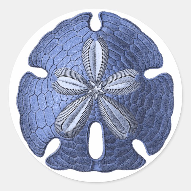 Blue Sand Dollar Classic Round Sticker (Front)