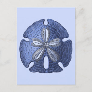 Blue Sand Dollar Postcard