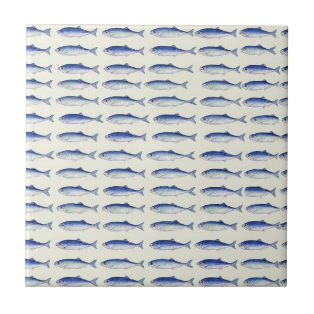 Blue Sardines Horizontal Minimal Coastal Pattern Tile (Front)