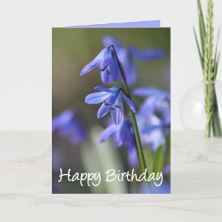 Blue Scilla siberica (Wood Squill) Flowers Card