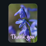 Blue Scilla siberica (Wood Squill) Flowers Magnet<br><div class="desc">The beautiful blue flowers of Scilla siberica (Wood Squill),  blooming in spring in a natural woodland setting.Great thank you gift for anyone who loves flowers or the natural world.</div>