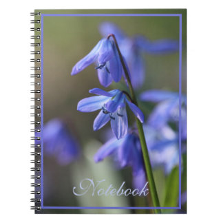 Blue Scilla siberica (Wood Squill) Flowers Notebook