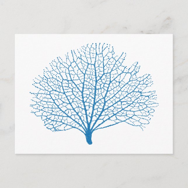 blue sea fan coral silhouette postcard (Front)