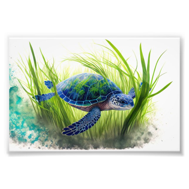 Blue Sea Turtle, Turtle, Sea Decor, Beach Art Photo Print (Front)