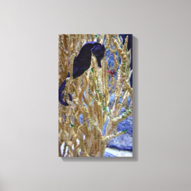 Blue Seahorse Canvas Print (Front)