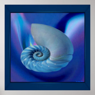 Blue Seashell Print