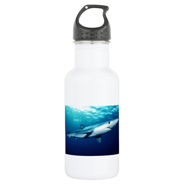 Blue Shark 532 Ml Water Bottle (Front)