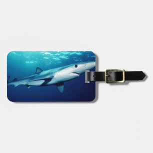 Blue Shark Luggage Tag