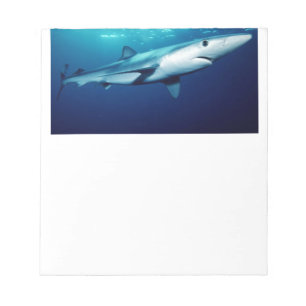 Blue Shark Notepad