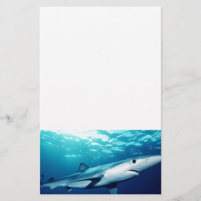 Blue Shark Stationery (Front)