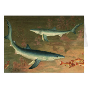 Blue Sharks Eating Fish, Vintage Marine Life