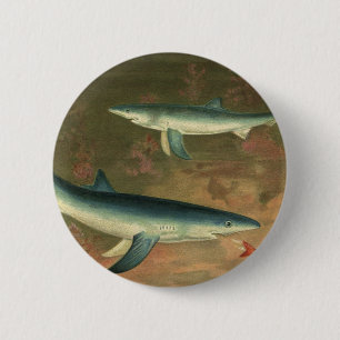 Blue Sharks Eating Fish, Vintage Marine Life 2 Inch Round Button