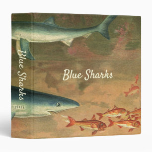 Blue Sharks Eating Fish, Vintage Marine Life Binder