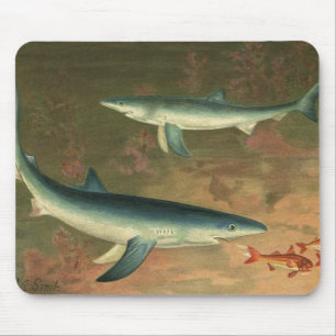 Blue Sharks Eating Fish, Vintage Marine Life Mouse Pad