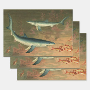Blue Sharks Eating Fish, Vintage Marine Life Wrapping Paper Sheet