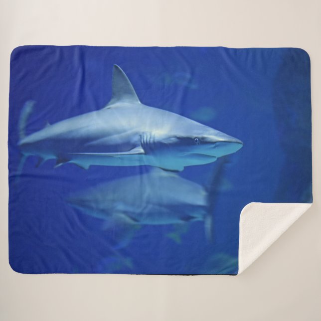 BLUE SHARKS SHERPA BLANKET (Front (Horizontal))