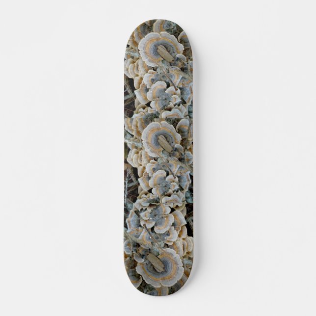 Blue Shelf Fungus Skateboard (Front)
