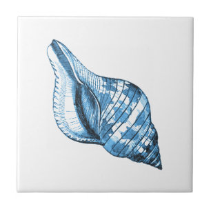 Blue shell nautical coastal ocean beach gifts tile