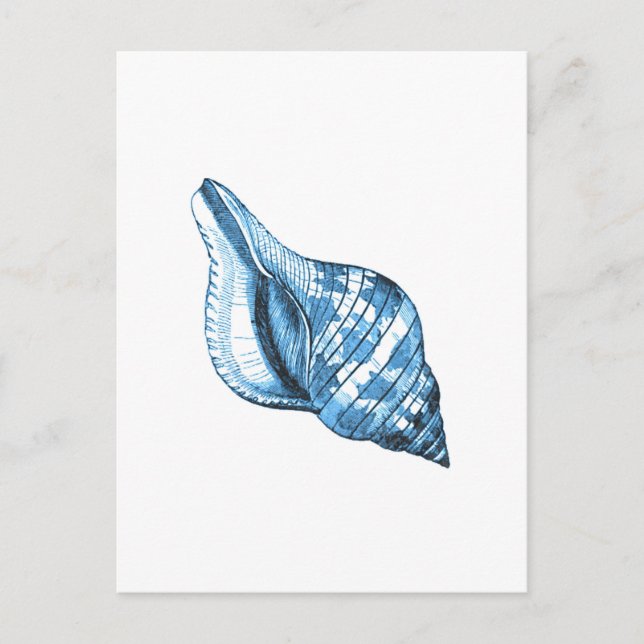 Blue shell nautical coastal ocean gifts postcard (Front)