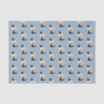 Blue Siamese Cat Tissue Paper