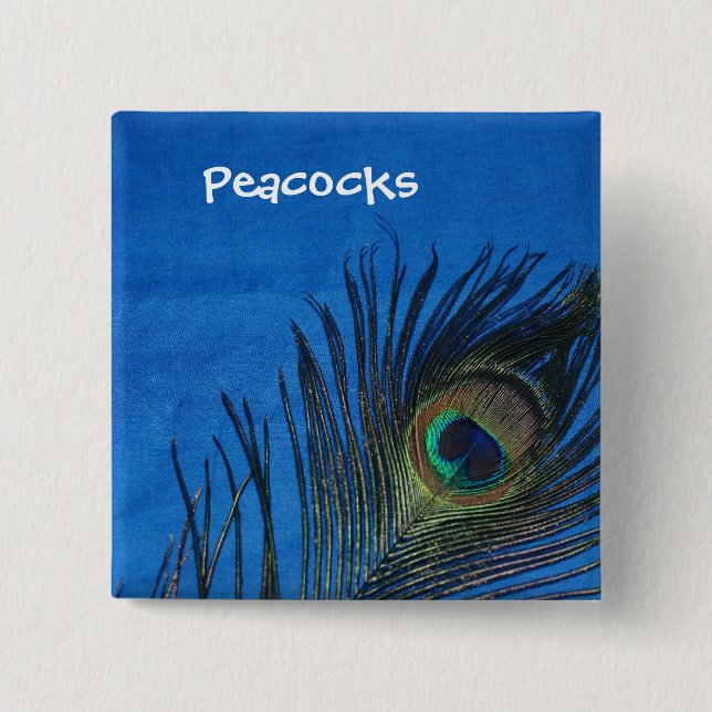 Blue Single Peacock Feather 2 Inch Square Button (Front)