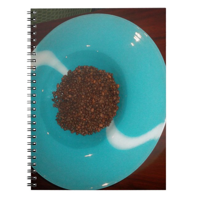 Blue  Skeezer Notebook (Front)