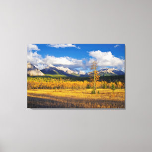 Blue skies and clouds above a meadow canvas print