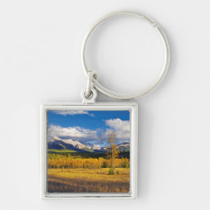 Blue skies and clouds above a meadow keychain