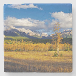 Blue skies and clouds above a meadow stone coaster