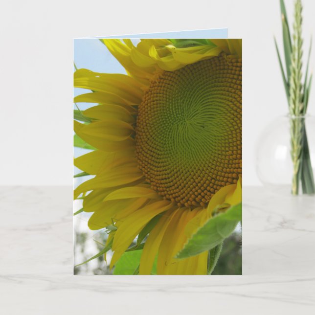Blue Skies and Friendly Flower Sunflower Card (Front)
